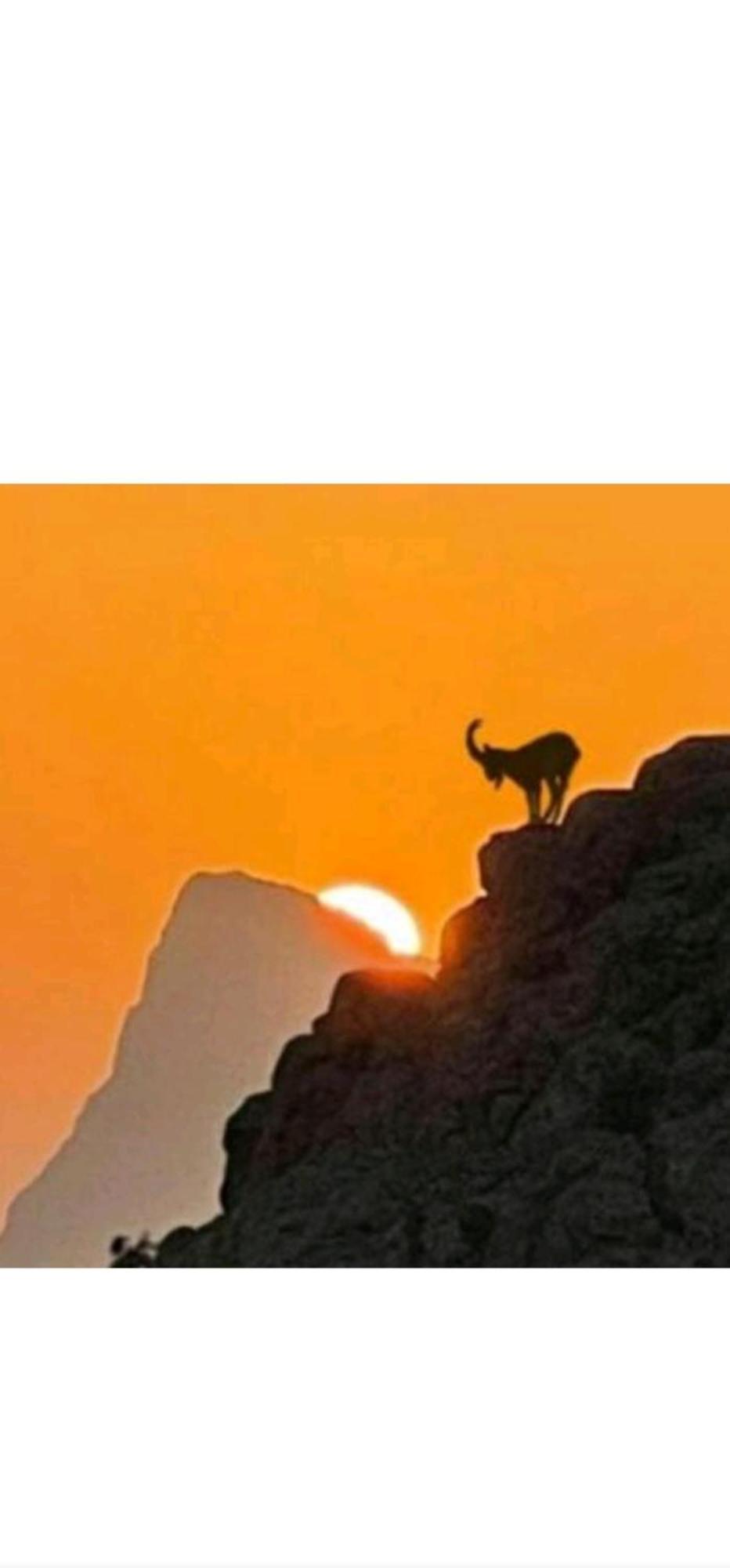הוילה Dar Sawda جبل شمس Jabal Shams Sunset House מראה חיצוני תמונה